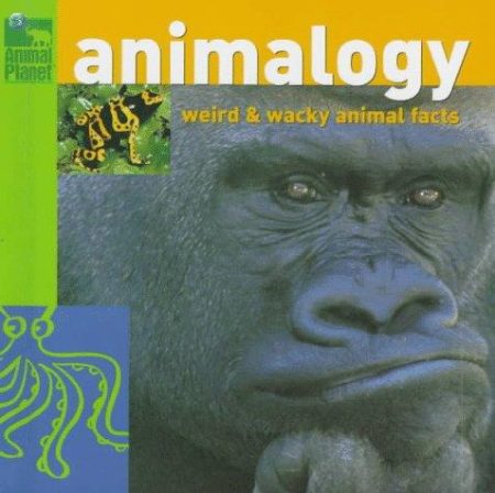 Animalogy: Weird and Wacky Animal Facts