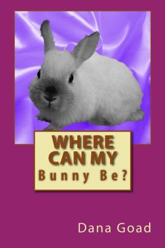 Where Can My Bunny Be?
