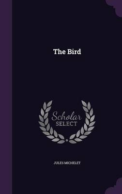The Bird