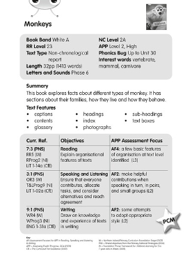 BC NF White A/2A Monkeys Guided Reading Card