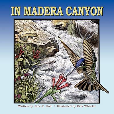 In Madera Canyon