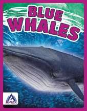 Blue Whales