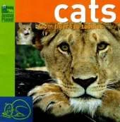 Cats: From Tigers to Tabbies