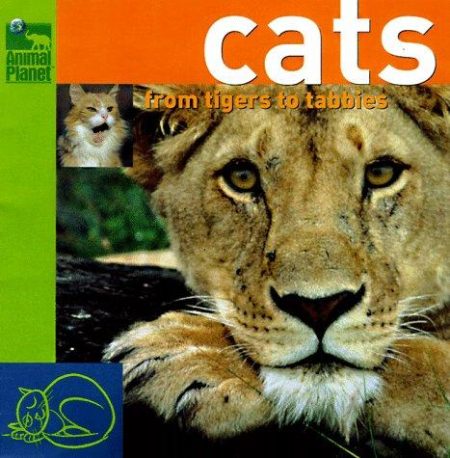 Cats: From Tigers to Tabbies