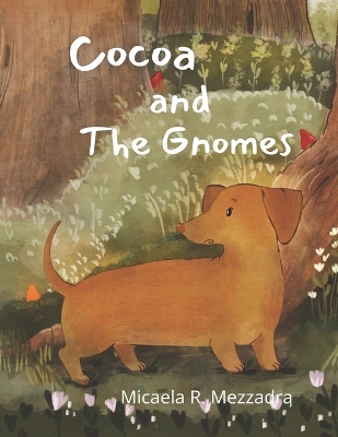 Cocoa and The Gnomes