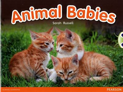 Bug Club Red B (KS1) Animal Babies 6-pack