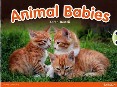 Bug Club Red B (KS1) Animal Babies 6-pack