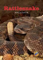 Rattlesnake