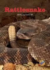 Rattlesnake