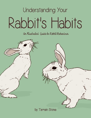 Understanding Your Rabbit's Habits
