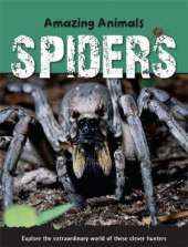 Amazing Animals: Spiders