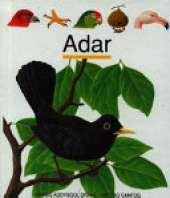 Adar