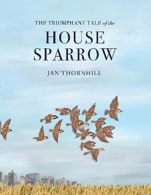 The Triumphant Tale of the House Sparrow