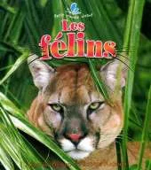 Les Filins
