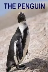 The Penguin: Life of a penguin.