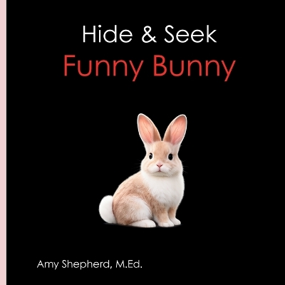 Hide & Seek Funny Bunny: A playful hide-and-seek adventure for early learners