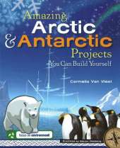 Amazing Arctic and Antarctic Projects You Can Build Yourself