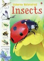 Nature Trail: Insects