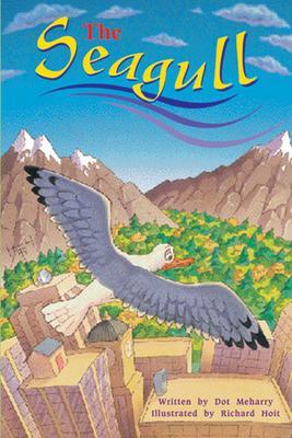 The Seagull Level 3