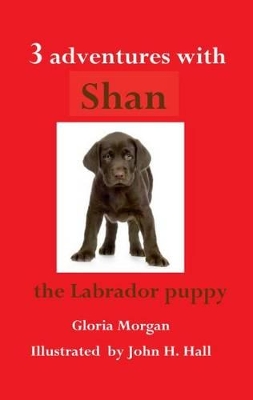 Three Adventures with Shan