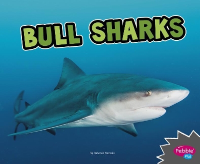 All About Sharks Bull Sharks