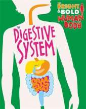 The The Digestive System