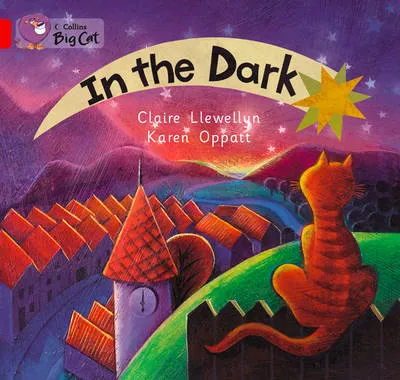 In the Dark: Talking Books
