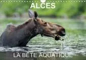 Alces - La Bete Aquatique: 13 Photos d'Orignaux dans Leur Milieu Aquatique, au Quebec