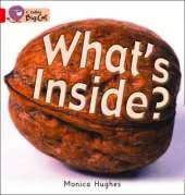 What's Inside?: Talking Books