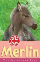 Merlin: The Homeless Foal