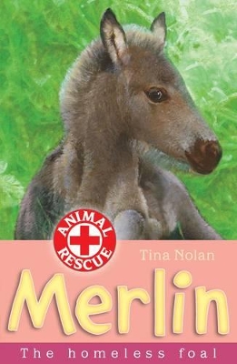 Merlin: The Homeless Foal