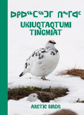 Arctic Birds: Bilingual Inuktitut and English Edition