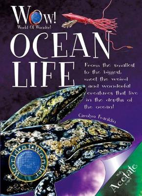 Ocean Life