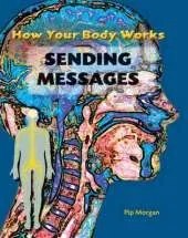 How Your Body Works: Sending Messages