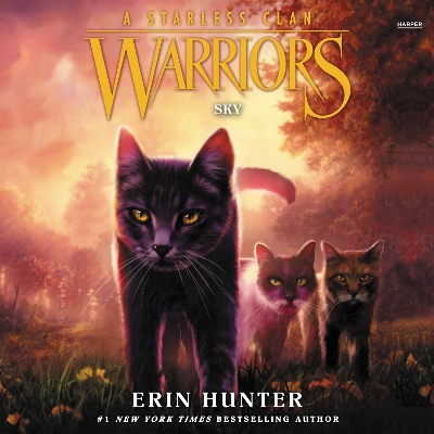 Warriors: a Starless Clan #2: Sky