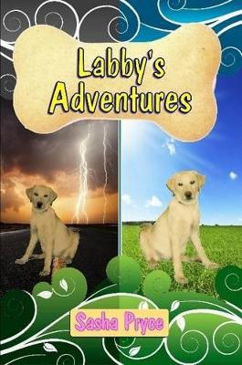 Labby's Adventures