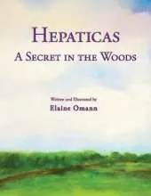 Hepaticas: A Secret in the Woods