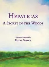 Hepaticas: A Secret in the Woods