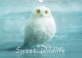 Sweet Wildlife / UK-Version / Birthday Calendar 2017: The Funny and Sweet Animal Calendar for Old and Young