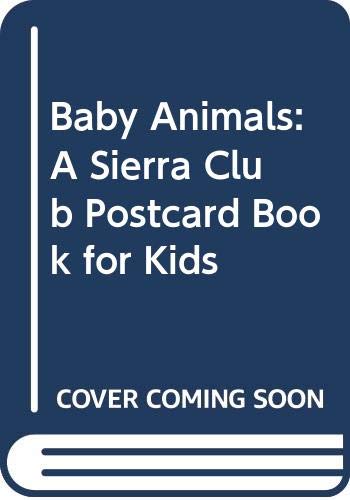 Baby Animals Postcard Book