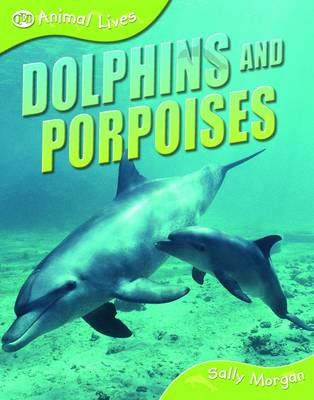 Dolphins and Porpoises