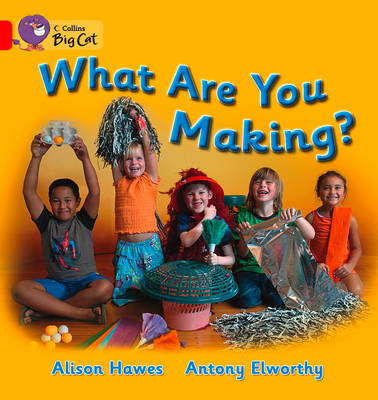 What are You Making?: Talking Books