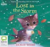 Lost in the Storm