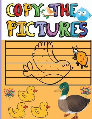Copy the Pictures: Amazing Activity Book for Kids Copy the Picture for Boys and Girls Great Coloring Gift Book for Birds Lovers