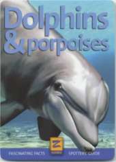 Dolphins and Porpoises