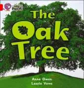 The Oak Tree: Talking Books