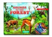 Sounds of the Forest