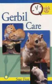 Gerbil Care: Quick and Easy Guide