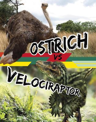 Ostrich vs Velociraptor