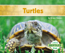 Turtles